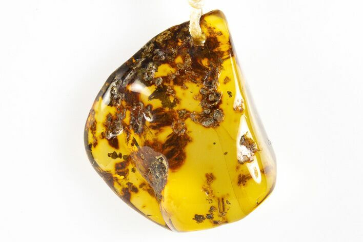 Polished Chiapas Amber ( g) Necklace - Mexico #304388